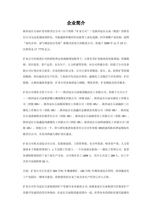 陕西延长石油矿业有限公司资料