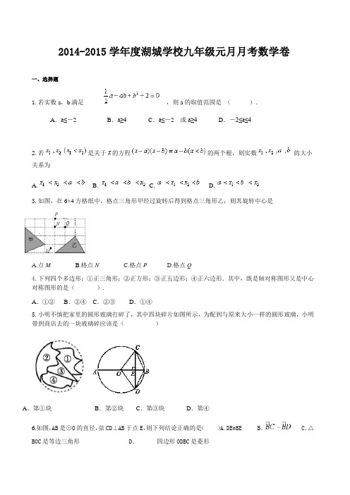 2014-2015学年度湖城学校九年级元月月考数学卷