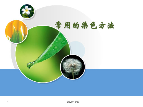 常用染色方法 ppt课件