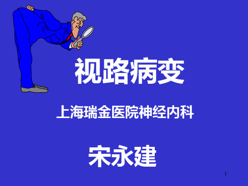 视路病变(04年讲稿)