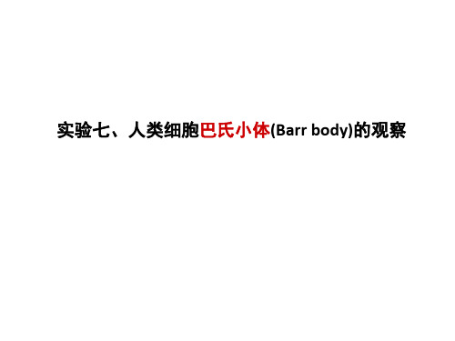实验七.人类巴氏小体的观察