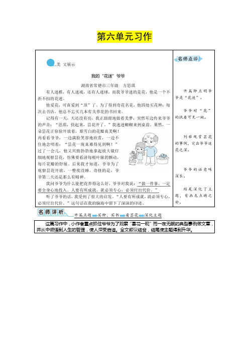 部编版小学语文三年级下册第六单元习作《身边那些有特点的人》优秀例文及点评