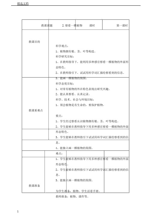 教科2017课标版科学一年级上册《植物2观察一棵植物》课教学设计10