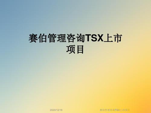 赛伯管理咨询TSX上市项目