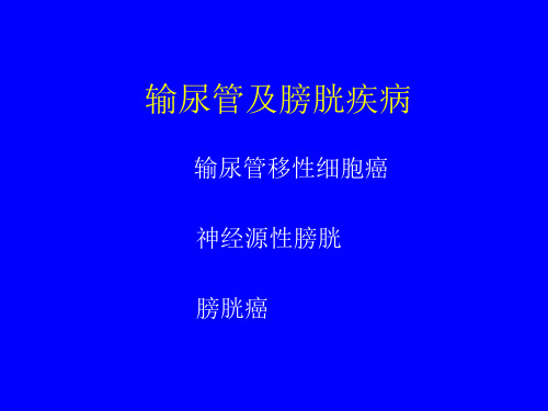 盆腔及肛周疾病mri诊断ppt课件