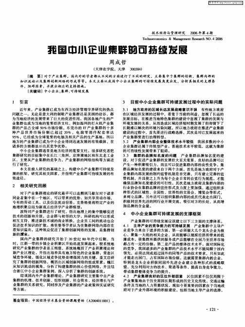 我国中小企业集群的可持续发展