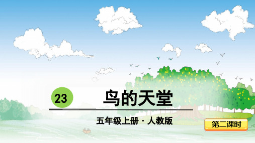 最新部编版五年级上册语文ppt教学课件——23-鸟的天堂-第二课时