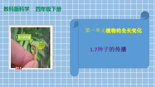 教科版(2017秋)四年级科学下册1.7种子的传播(课件39张+素材) 