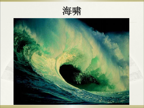地震与地震灾害第四章-海啸篇