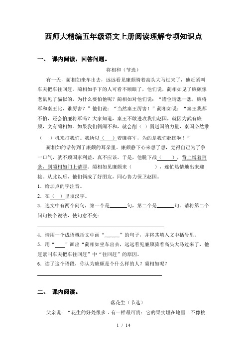 西师大精编五年级语文上册阅读理解专项知识点