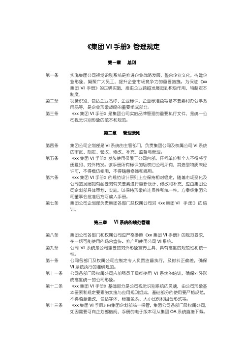集团VI说明手册.doc