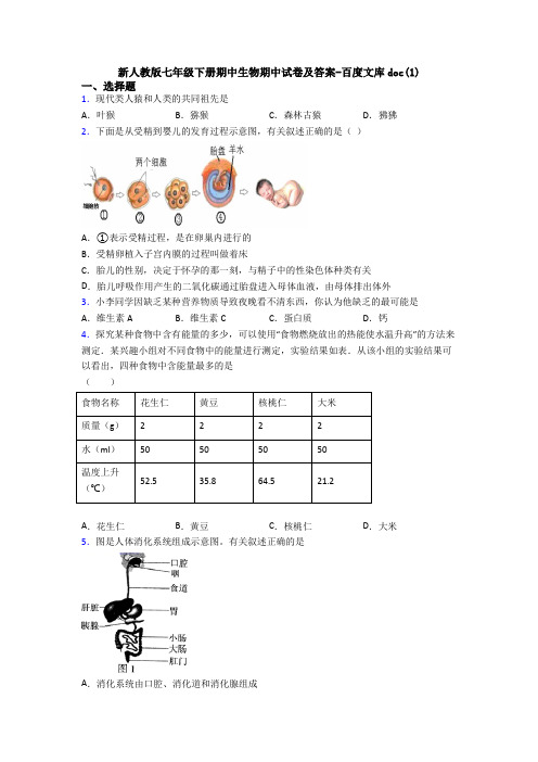 新人教版七年级下册期中生物期中试卷及答案-百度文库doc(1)
