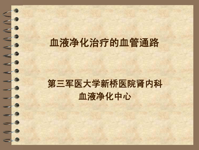 血液净化治疗的血管通路