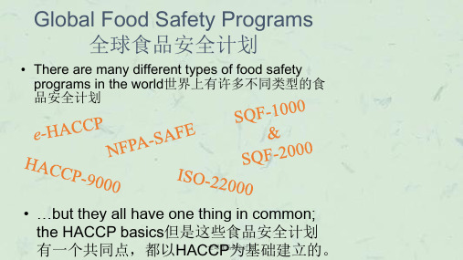 全球食品安全计划课件