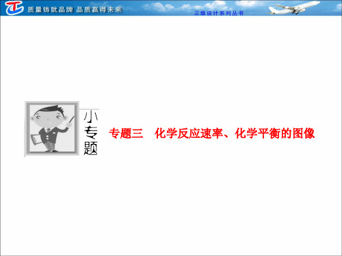 第九章  专题三  化学反应速率、化学平衡的图像