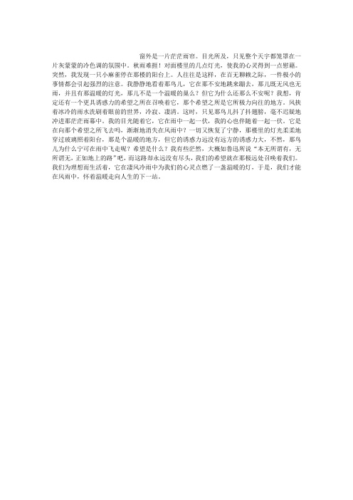 鸟儿在雨中飞走了