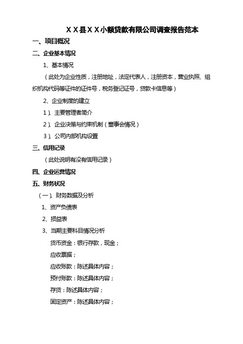 最新小额贷款有限公司的贷前调查报告范本