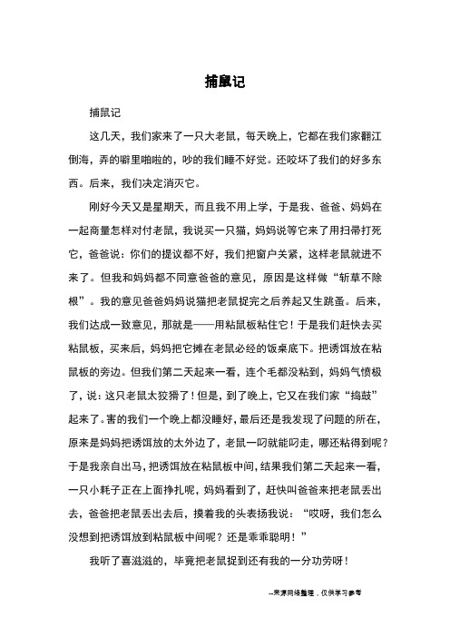 捕鼠记_小学三四年级记事