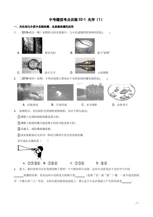 浙教版科学中考题型考点训练02-1 光学(1)