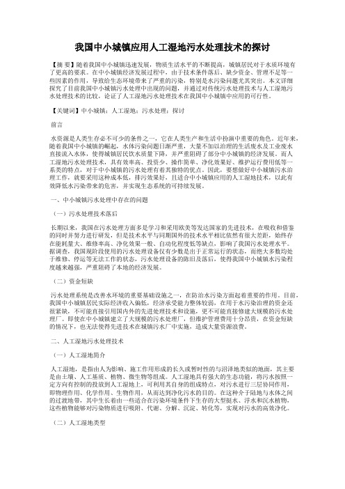我国中小城镇应用人工湿地污水处理技术的探讨