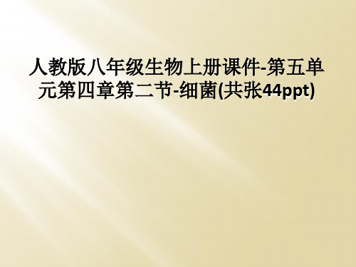 人教版八年级生物上册课件-第五单元第四章第二节-细菌(共张44ppt)