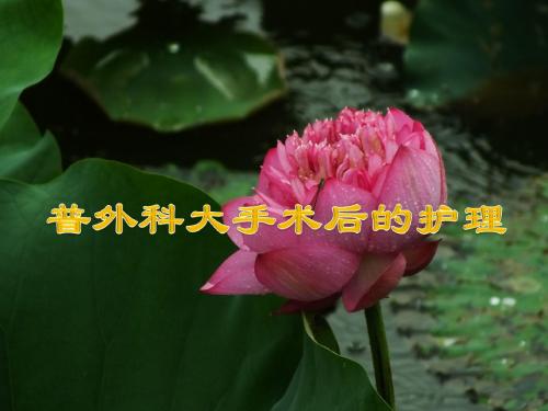 普外科大手术后的护理