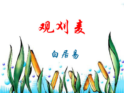 观刈麦课件[1]