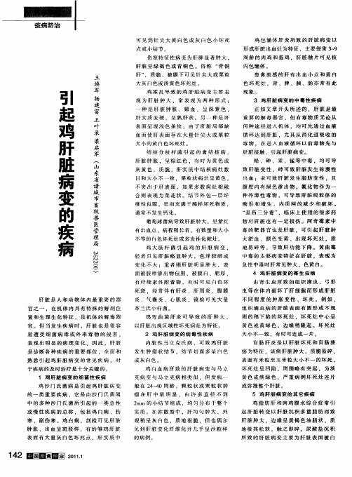 引起鸡肝脏病变的疾病