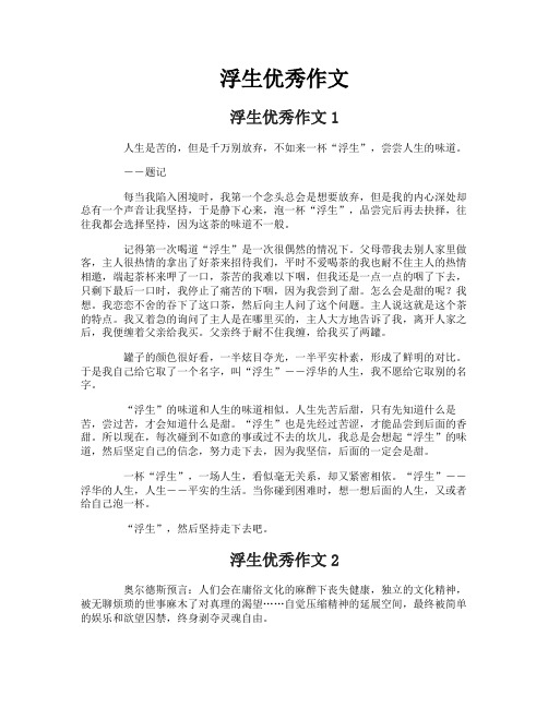 浮生优秀作文