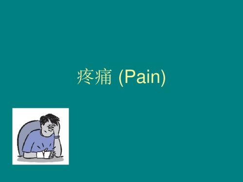 疼痛基础知识ppt课件