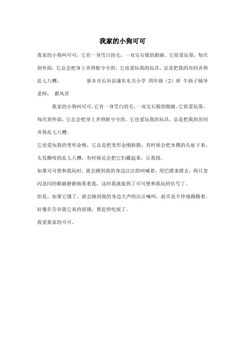 我家的小狗可可_小学四年级作文400字