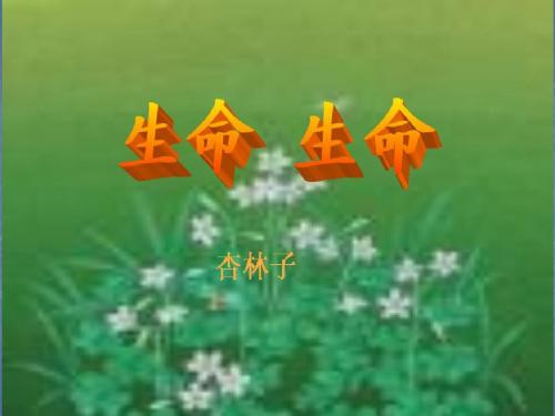 人教版四年级下册生命生命2