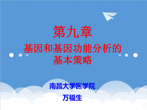 生物科技-超好研究生分子生物学课件第九章 基因和基因功能分析基本策略07 精品