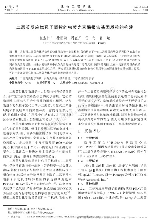 二恶英反应增强子调控的虫荧光素酶报告基因质粒的构建