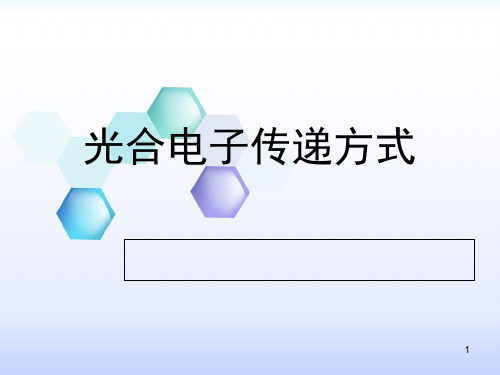 植物生理学 光合电子传递 ppt课件