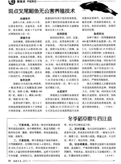 斑点叉尾鮰鱼无公害养殖技术