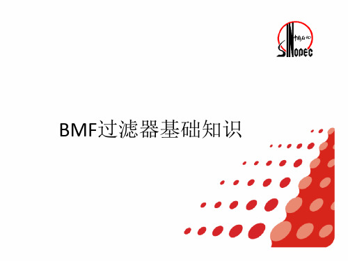 BMF过滤器基础知识ppt课件