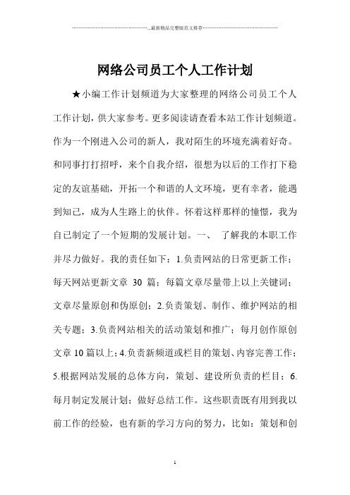 网络公司员工个人精品工作计划