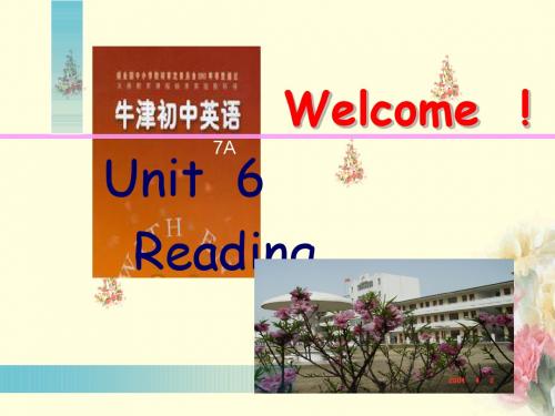 7A U6 reading