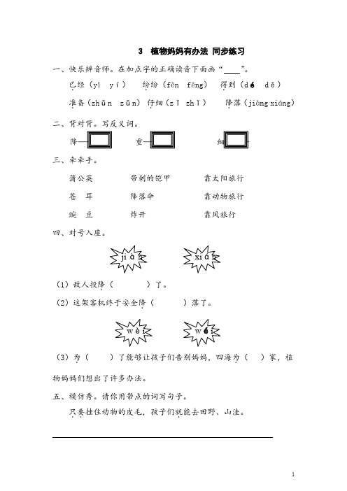 人教版(部编本)语文二年级上册3 植物妈妈有办法 同步练习(含答案)