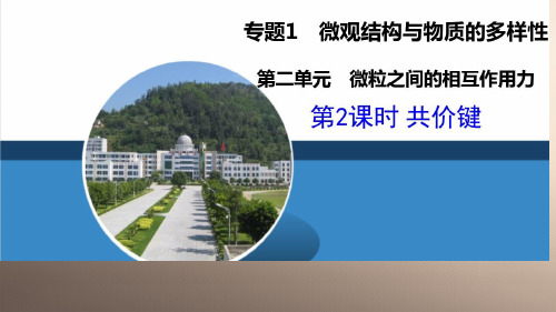 沪科版化学高一上册-3.3 共价键 课件  优秀课件