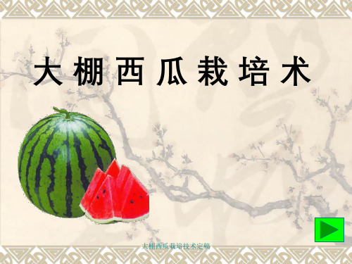 大棚西瓜栽培技术定稿