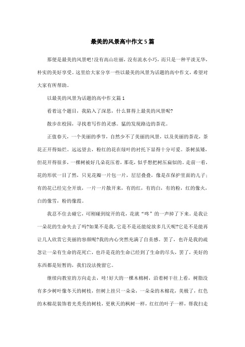 最美的风景高中作文5篇