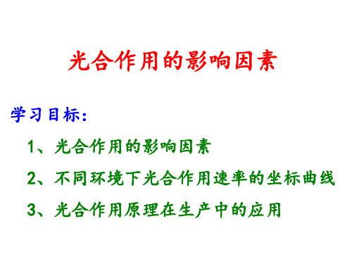 光合作用影响因素