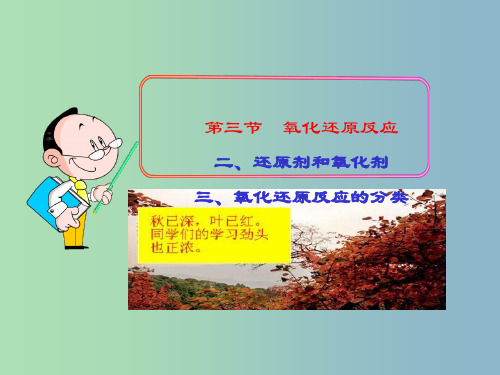 高中化学 第二章 第三节 氧化还原反应课件2 新人教版必修1