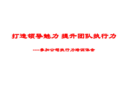 打造领导魅力 提升团队执行力-中层管理培训总结