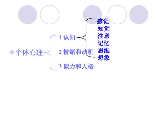 《普通心理学》第三章 感觉