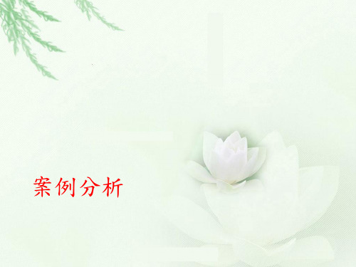 商务沟通经典案例分析(ppt33张)