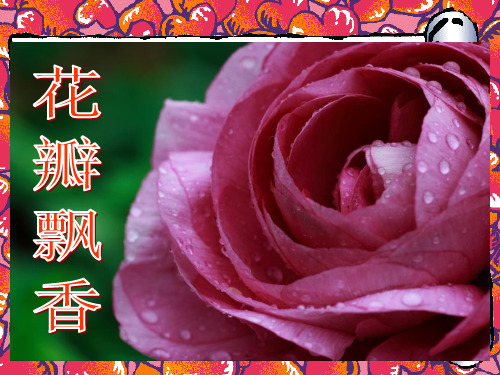 苏教版三年级下册语文《花瓣飘香》课件PPT