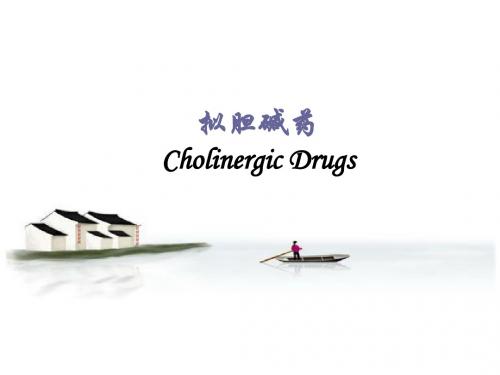 拟胆碱抗胆碱药.ppt